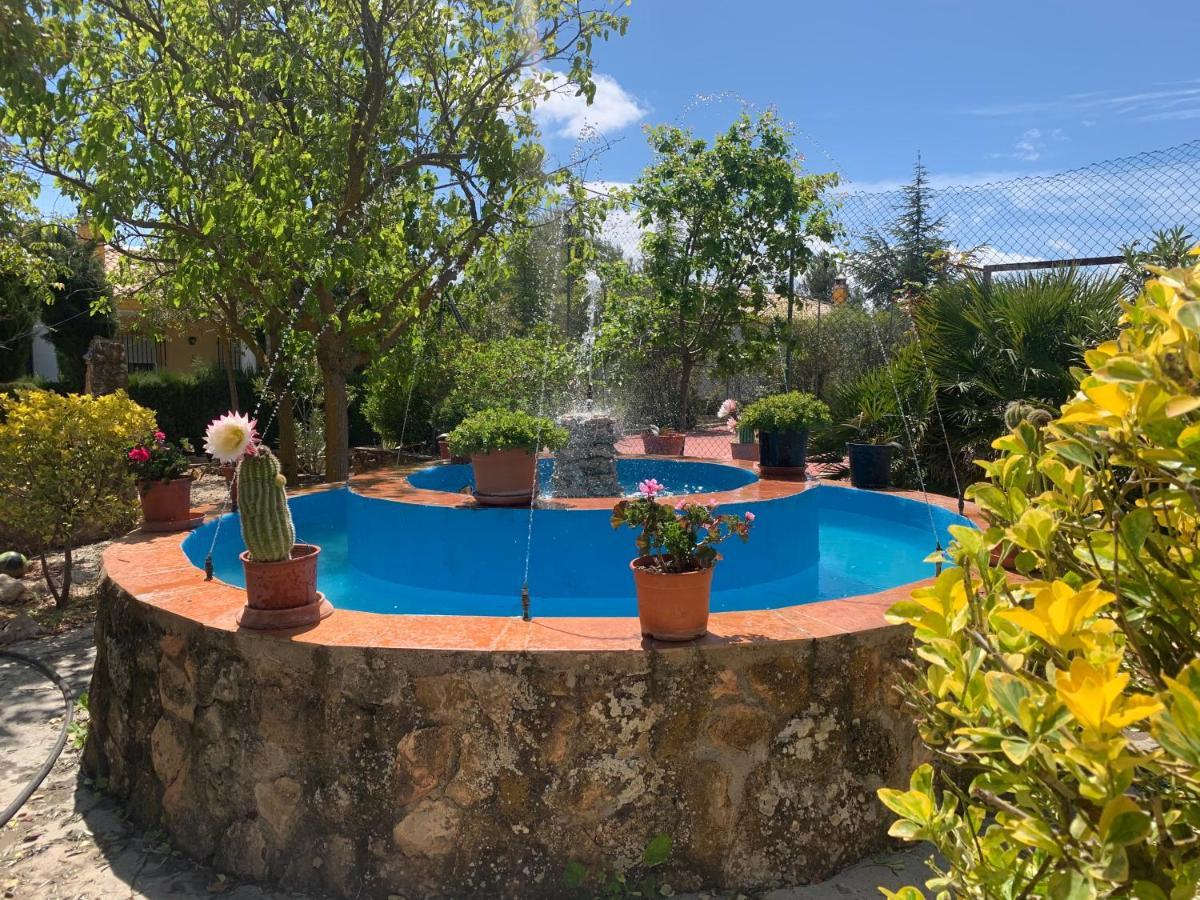 Torcales Del Lobo Apartamentos Rurales Pozo Alcón Extérieur photo